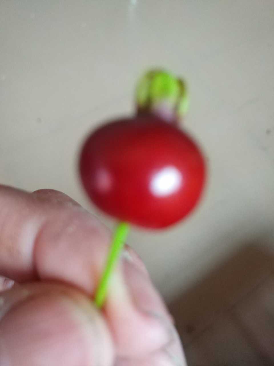 20200414_172372_1586832117283.jpg