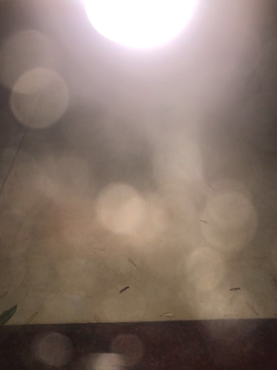 20200511596727158919660705742.jpg