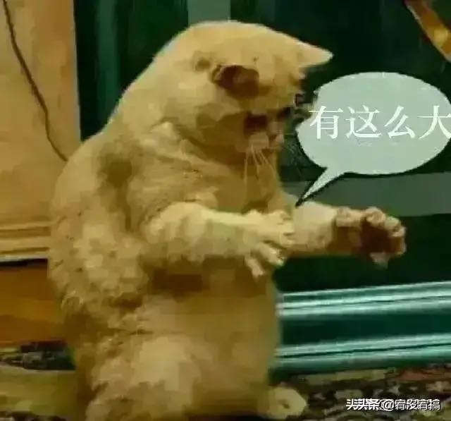 20201211913071607690785648317.jpg