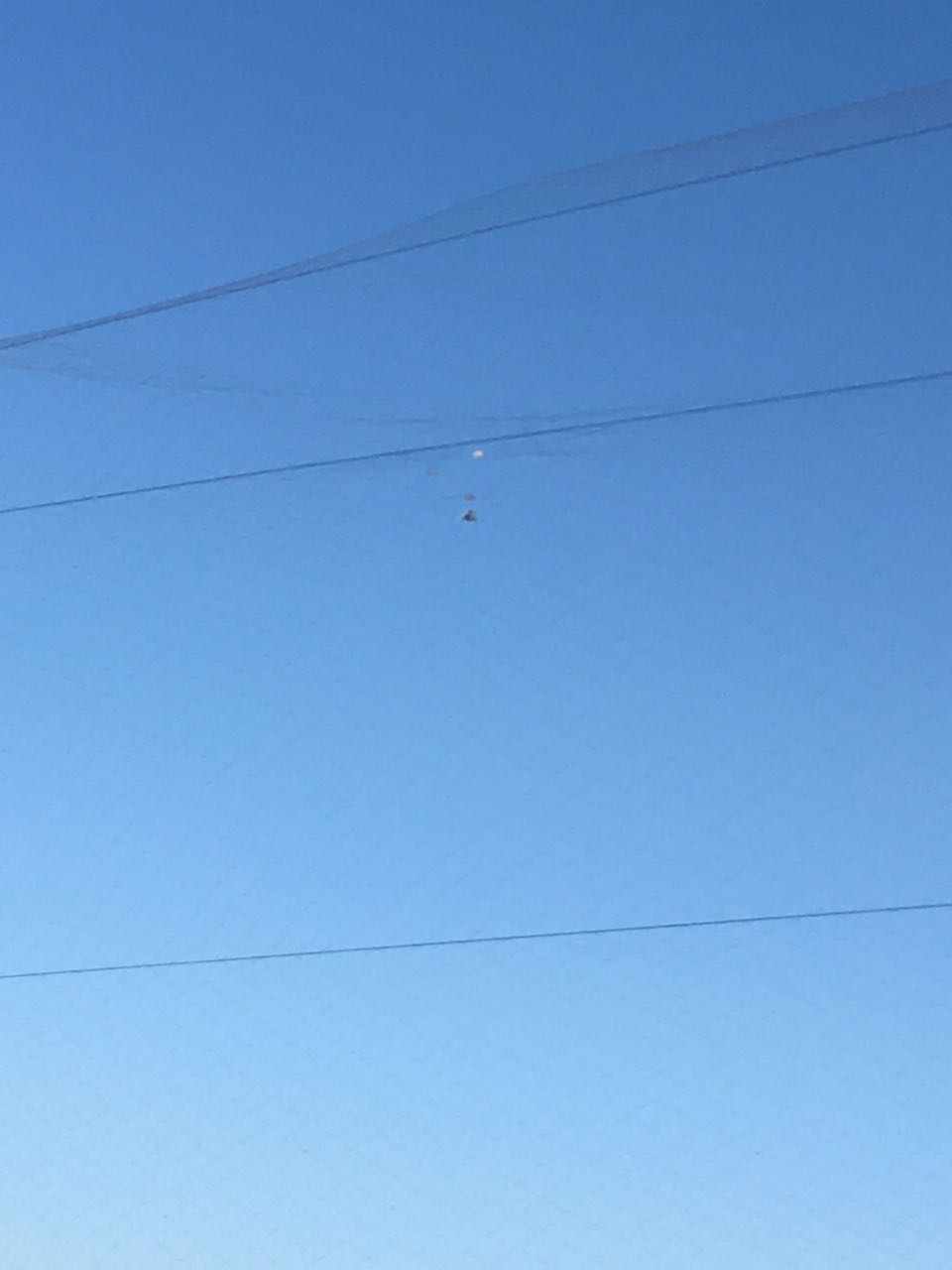 202101016293381609493171596626.jpg