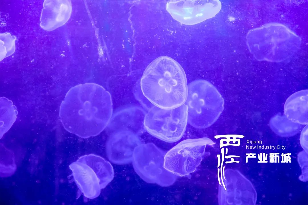 ΢ͼƬ_20220530163738.jpg