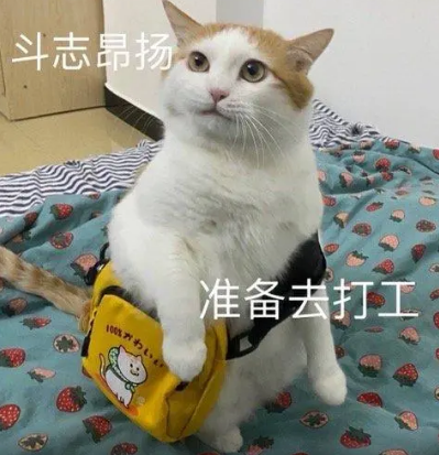 ΢ͼƬ_20220812105912.png