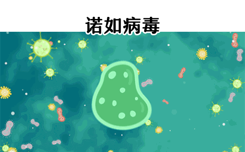 ΢ͼƬ_20220829094502.gif