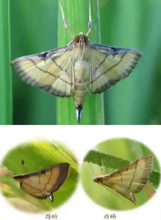 ΢ͼƬ_20220921153749.png
