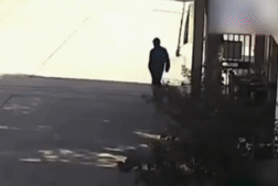 ΢ͼƬ_20221107094032.gif