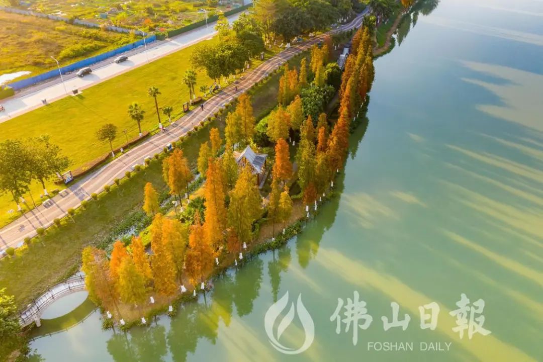 微信图片_20221230092644.jpg