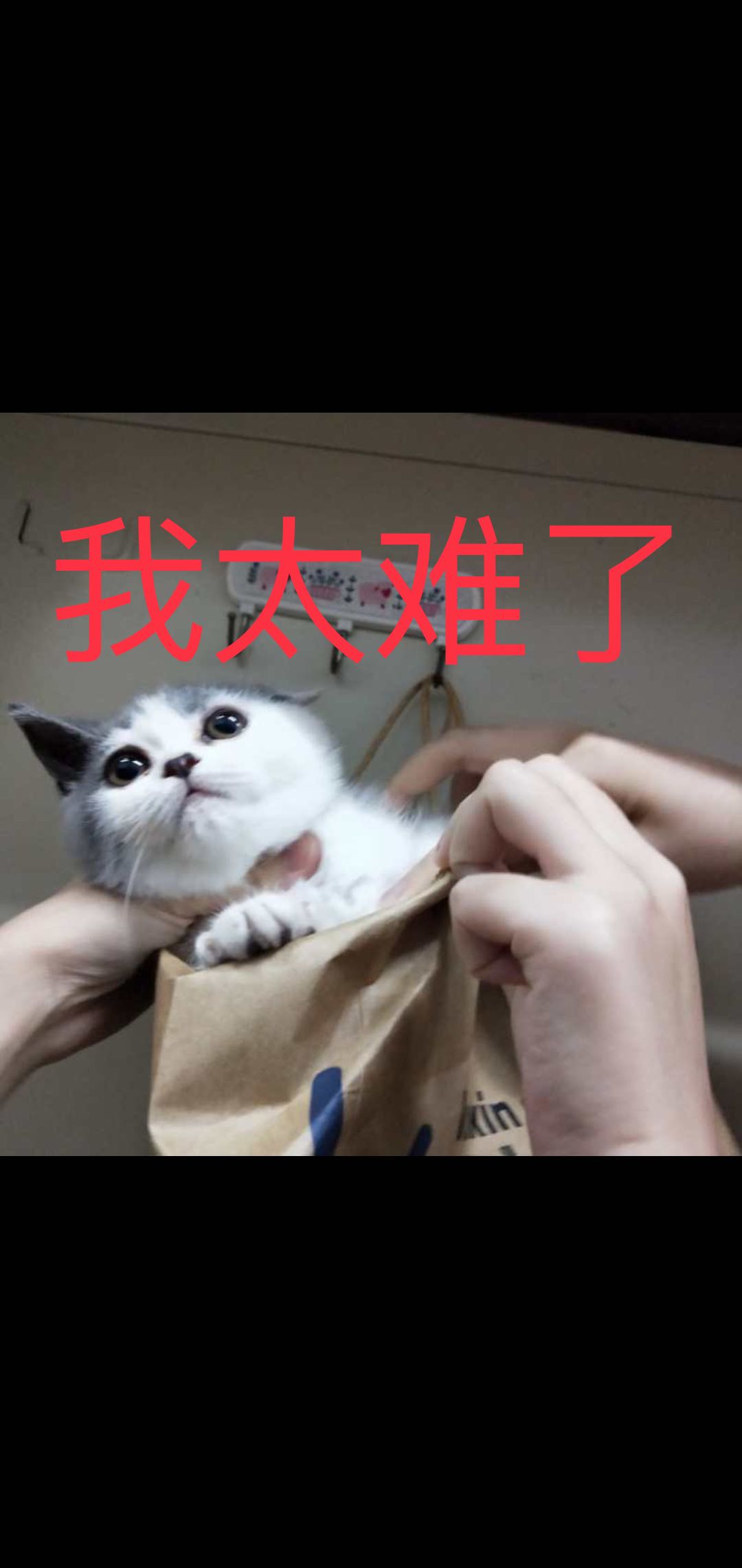 20230410163229front1_0_612669_FmX7ytW3wp7P4kZowWalM0ql6cyM.jpg