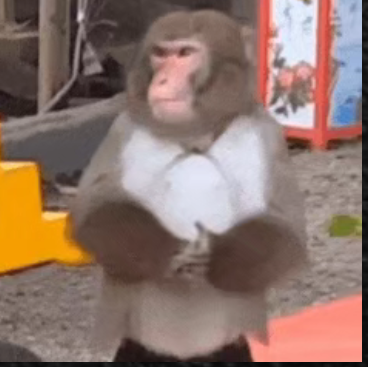 20240808213053front2_0_632655_Ftsakr2dS5q7pNctJBgrz-bCZaZq.png